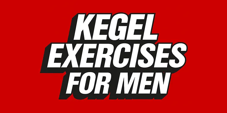 Kegel guide cover